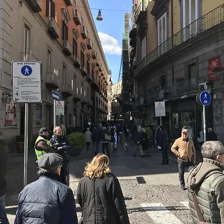 Magione Serra , Dimora Partenopea
