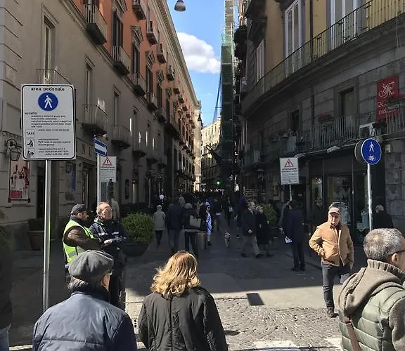 Magione Serra , Dimora Partenopea